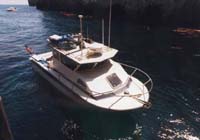 Top View of loaded 26'